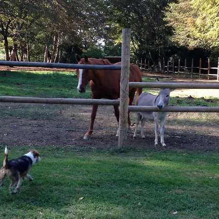 住宿加早餐酒店 Chateau Du Val Larbont 瑟鲁堡