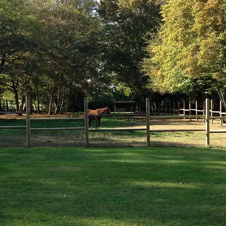 Chateau Du Val Larbont 住宿加早餐酒店 瑟鲁堡