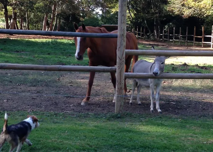 فندق مبيت وإفطار Chateau Du Val Larbont La Bastide-de-Sérou